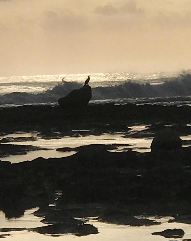 Casa Daflanna In Salento Daire Punta Prosciutto Dış mekan fotoğraf